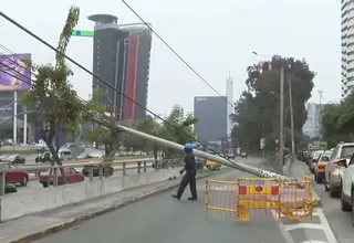 Lince: Congestión en ingreso a la vía Expresa tras caída de poste