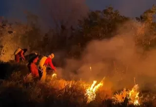 Brasil: Incendios en la Amazonia aumentaron en 61% respecto al 2023
